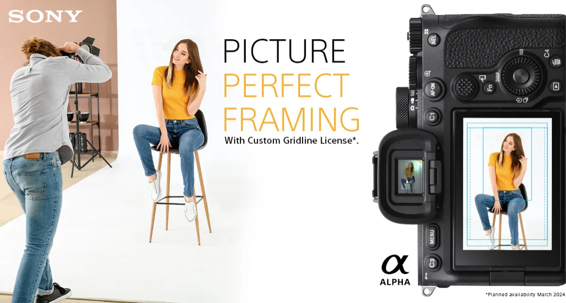 Sony’s 9 USD Customized Gridline License for Alpha Digital camera Our bodies