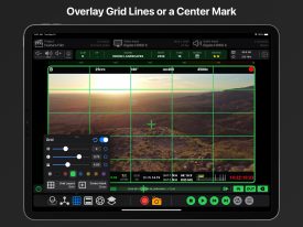VideoAssist 03 GridLines