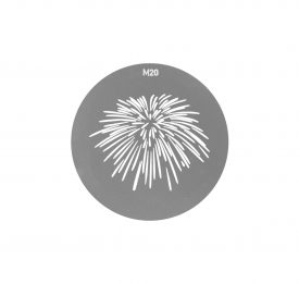 M20
