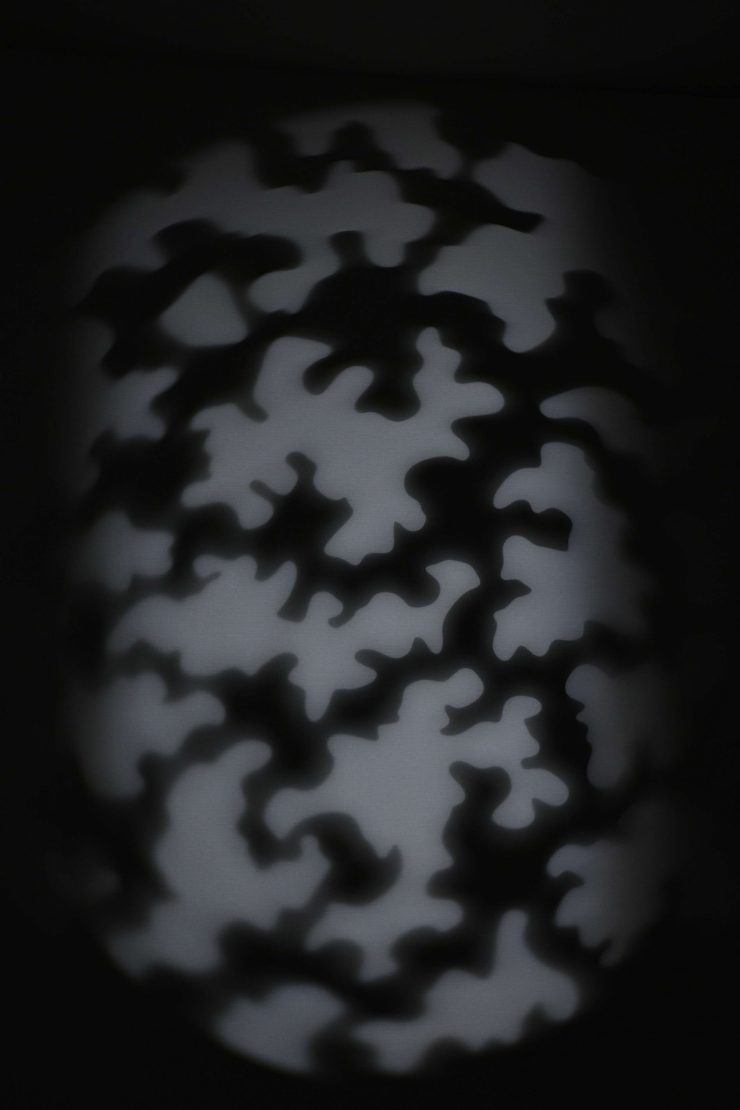 NANLITE Bowens Mount Projection Attachment 25°–45° 21024