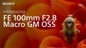 Introducing the Sony FE 100mm F2 8 Macro GM OSS Full Frame Macro Lens