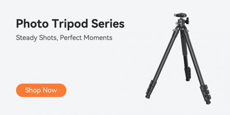 旗舰店优化 秋季大促 24