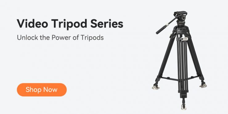 旗舰店优化 秋季大促 25