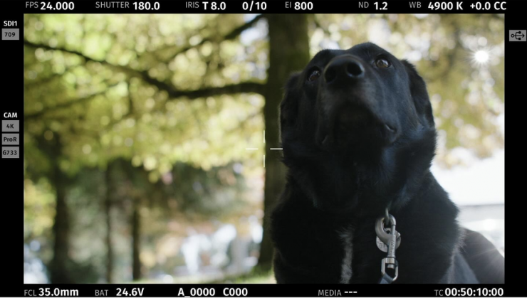 Screenshot 2025 10 23 at 9 29 08