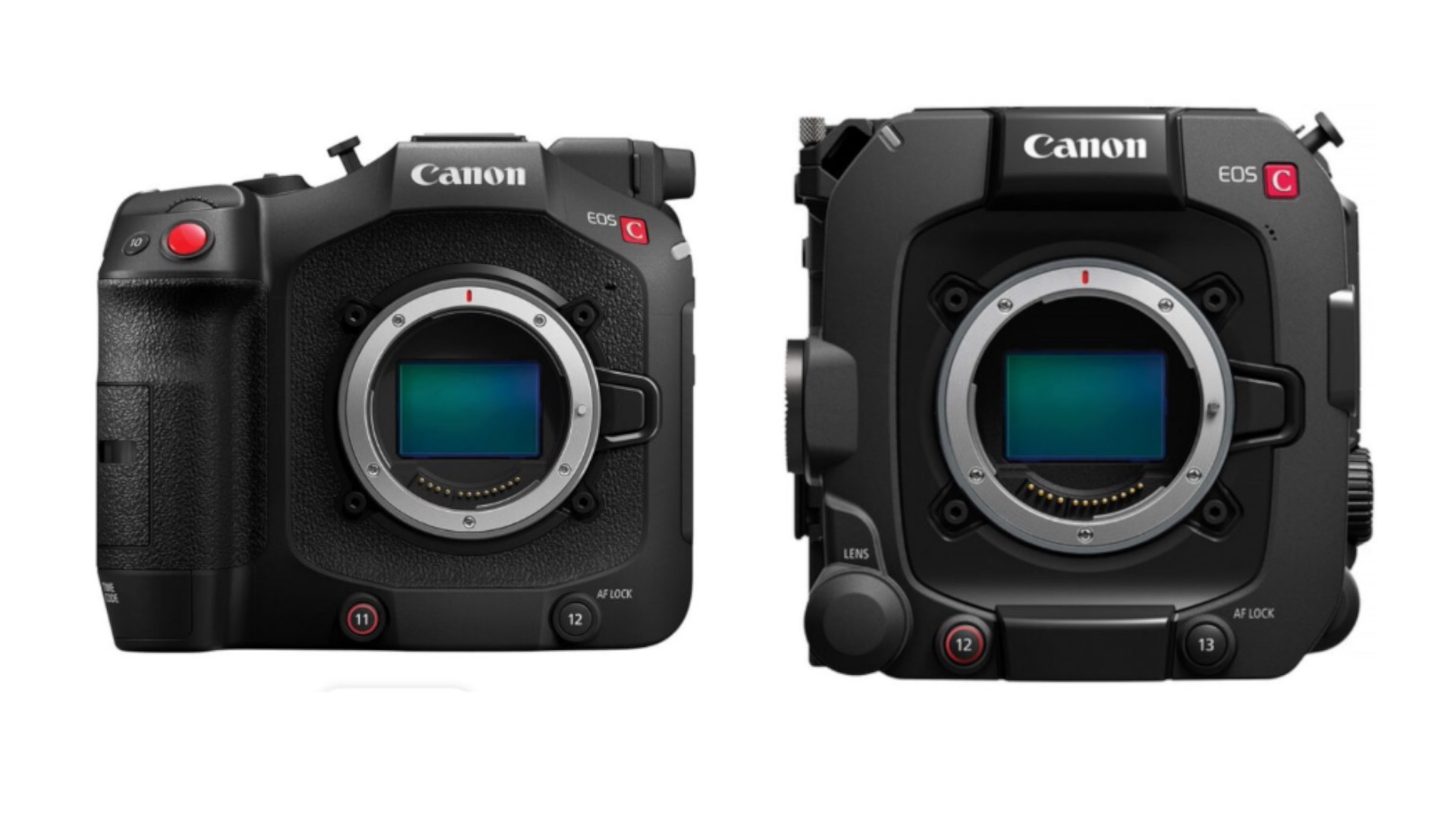 캐논 C400 등 펌웨어 업데이트