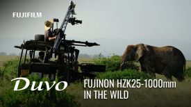 Inside a Wildlife Documentary Filmed With FUJINON Duvo HZK25 1000mm