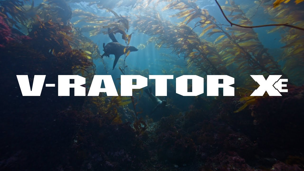 Vede Raptor RED V-RAPTOR XE REEL - Newsshooter