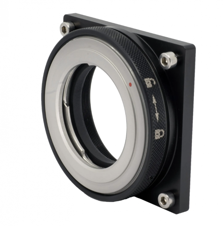 Screenshot 2026 02 11 at 19 00 33