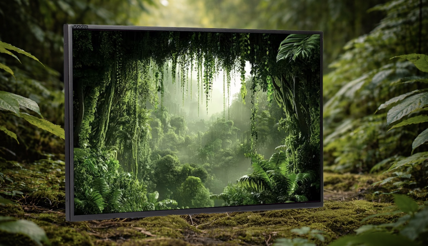 볼랜드 4K QD-OLED 모니터