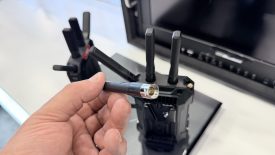 Hollylan Pyro Ultra IMG 1096