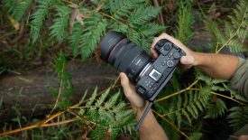 EOS R6 V Lifestyle 9