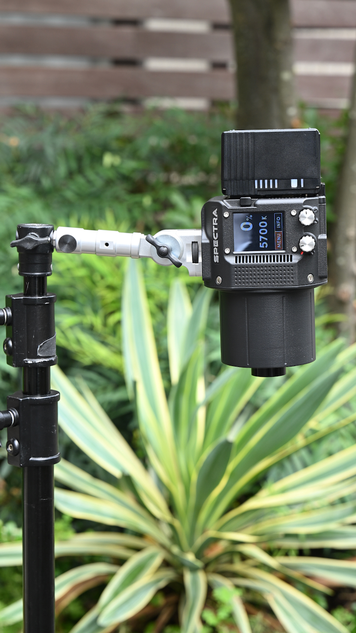 DSC 1593