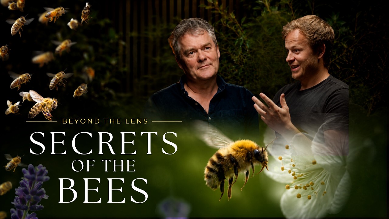 The Tiny World of Bees