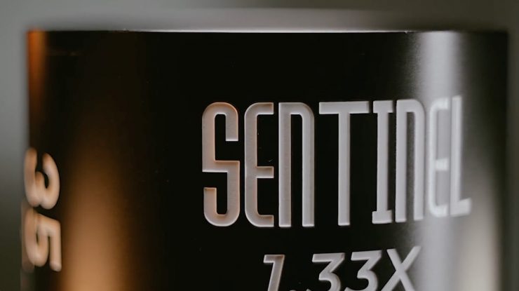Sentinel Detail Engraving Logo