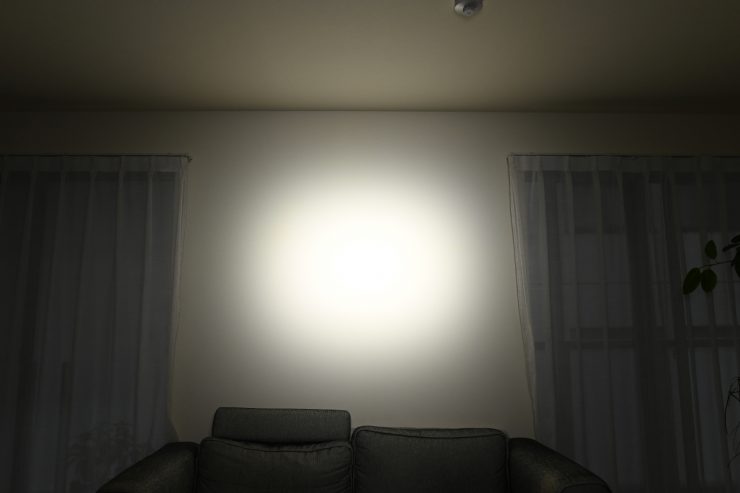DSC 2100