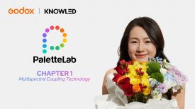 What makes PaletteLab different