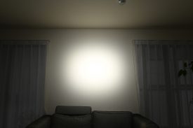 DSC 2100