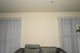 DSC 2103
