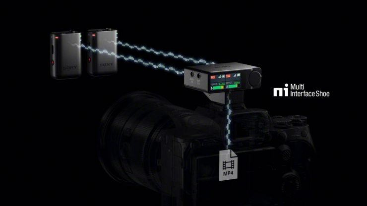 VX9597 one workflow Mid